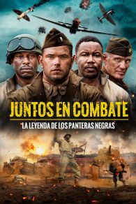 VER Come Out Fighting Online Gratis HD