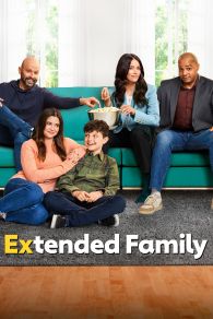 VER Extended Family Online Gratis HD