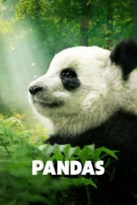 VER Pandas: El camino a casa Online Gratis HD