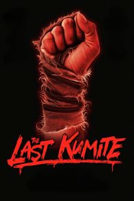 VER The Last Kumite Online Gratis HD